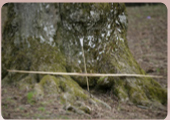Vergrößern